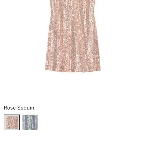 VICTORIA’S SECRET Sequin Slip - Picture 3 of 8